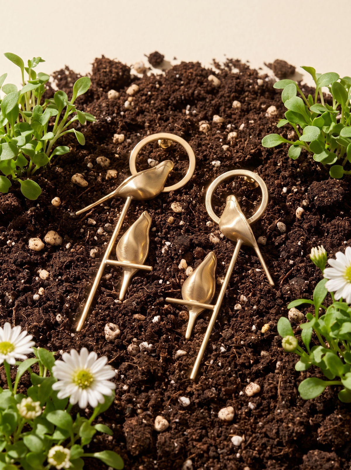 Perch Earrings in 18K gold vermeil set in dark soil among seedlings and daisies