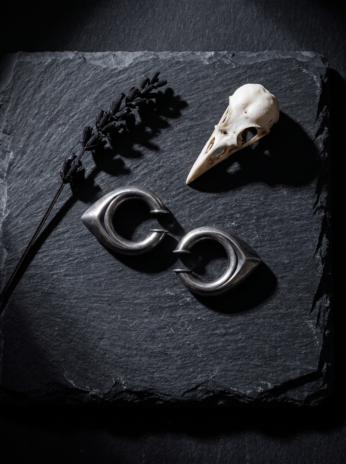 Drop Ear Cuff pair in brushed dark silver on black slate beside a bird skull and dried lavender